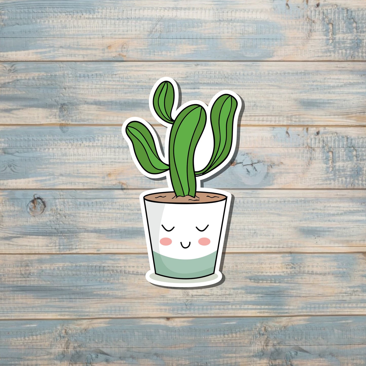 Kawaii Succulent Plant Sticker, Die Cut Vinyl Sticker, Succulent Sticker |Sticker or Magnet