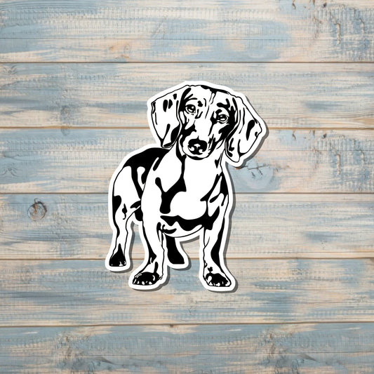 Dachshund Sticker |Sticker or Magnet