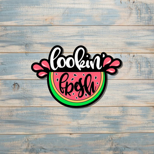 Watermelon Sticker, Die Cut Vinyl Sticker, Boho Fun, Water Resistant, Motivational Positivity |Sticker or Magnet