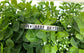 Never Stop Exploring Hand Stamped Cuff Bracelet Sarcasm Quote - Can be d - Handmade by Marlayna