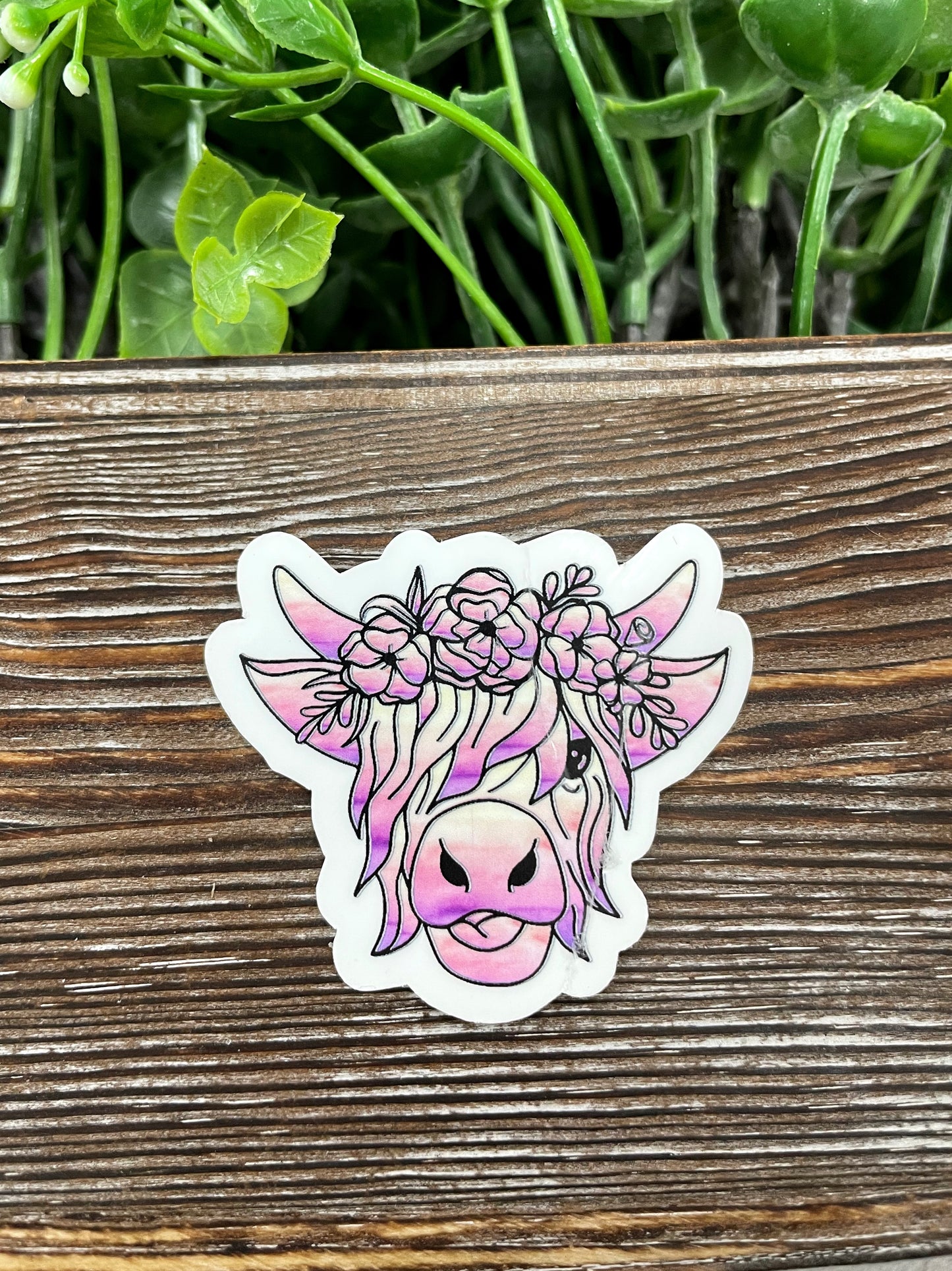 Pink Highland Cow Die Cut Sticker, Graphic Art Sticker, Vinyl, |Sticker or Magnet