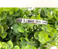 I Run this Campaign Hand Stamped Cuff Bracelet - Can be d - Handmade by Marlayna