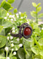 Brecciated Jasper Gemstone Wire Wrapped Ring - Handmade by Marlayna