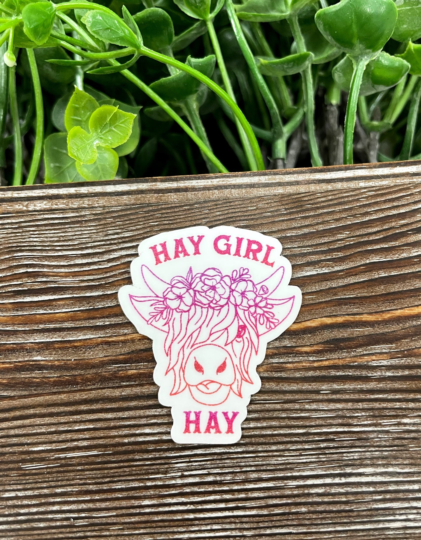 Hay Girl Hay, Pink Highland Cow Die Cut Sticker, Graphic Art Sticker, Vinyl, |Sticker or Magnet