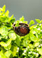 Goldstone Cabochon Wire Wrapped Ring Size 9 - Handmade by Marlayna