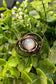 Moonstone Cabochon Wire Wrapped Ring Size 6 - Handmade by Marlayna