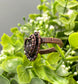 Labradorite Wire Wrapped Ring - Handmade by Marlayna